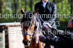 evakristin_230430_Dithmarrenpark_April2023_Prfg2_4911