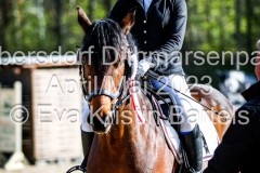 evakristin_230430_Dithmarrenpark_April2023_Prfg2_4913