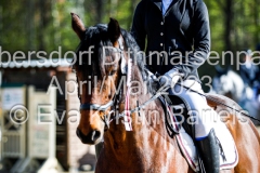evakristin_230430_Dithmarrenpark_April2023_Prfg2_4915