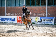 evakristin_230430_Dithmarrenpark_April2023_Prfg2_4938