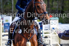 evakristin_230430_Dithmarrenpark_April2023_Prfg3_5200